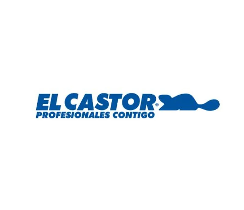 CASTOR